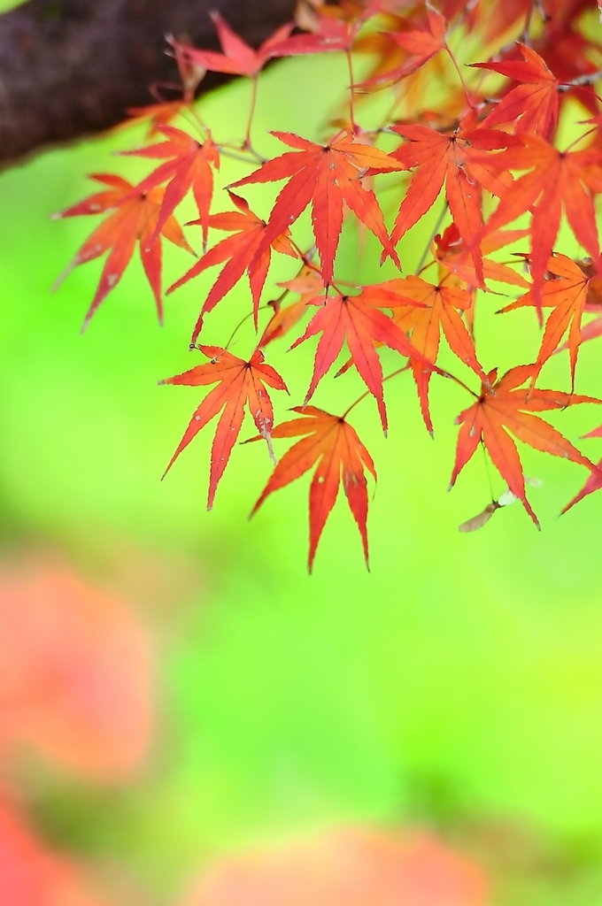 薄日さす