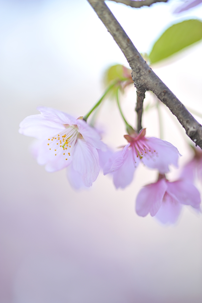 明日があるさ。。