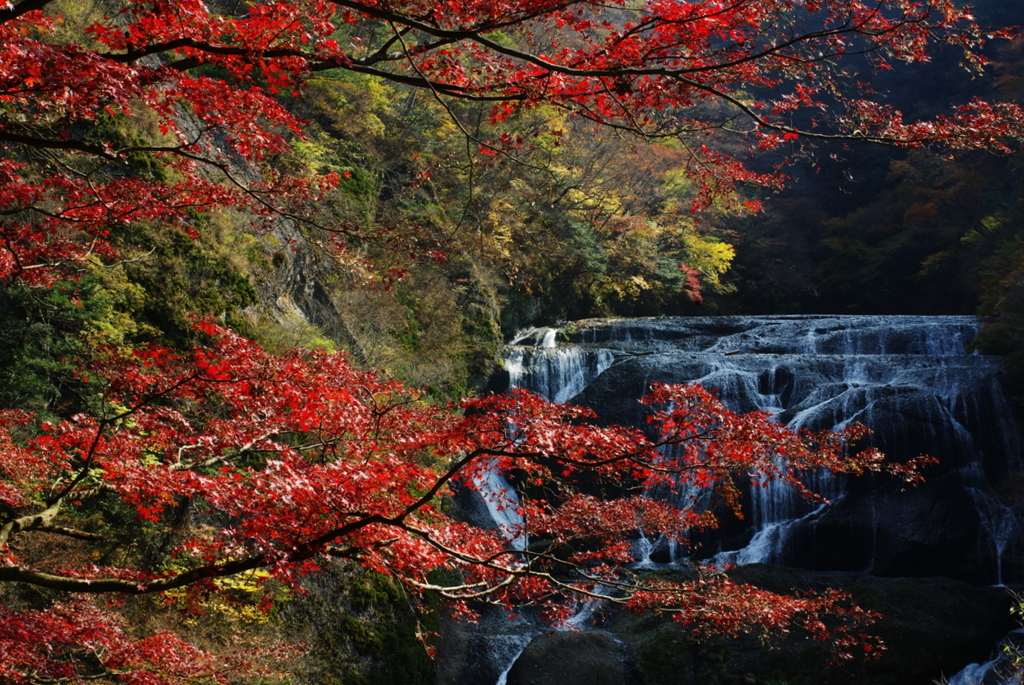袋田の秋