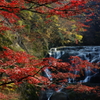 袋田の秋