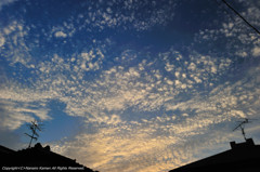 鱗の夕暮れ