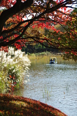 ペン昭和記念公園 097