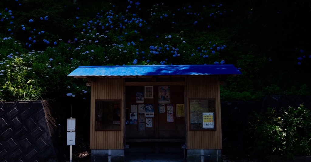 あじさい停留所