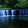 2014白糸の滝