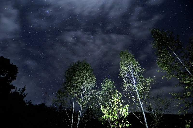 秋の夜長は。