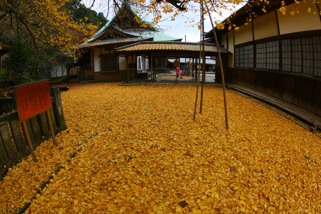 イエローカーペット