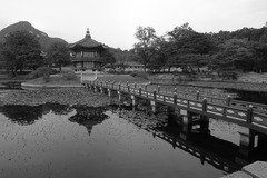 韓国