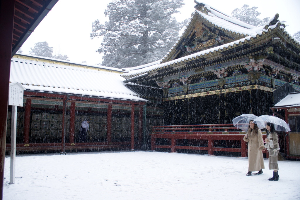 雪降る中で