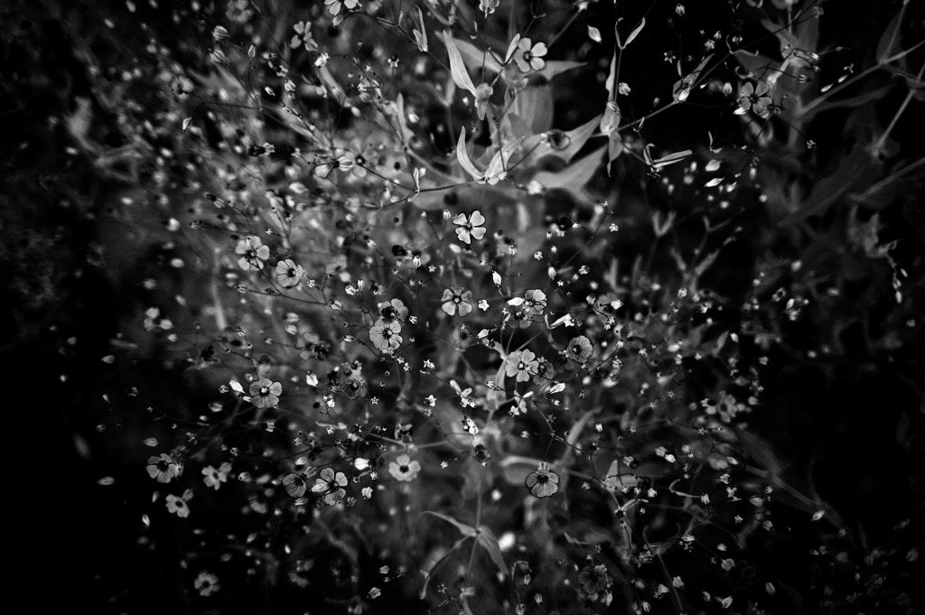 20110517