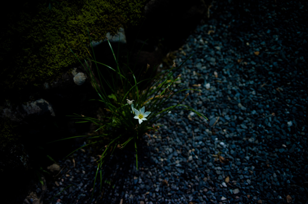 2011-09-13 14-18-52