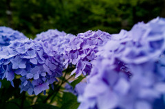 20110618#07