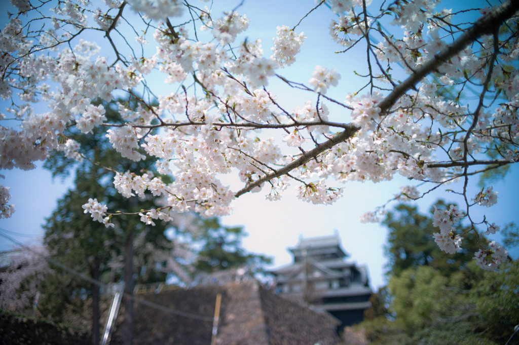 松江城