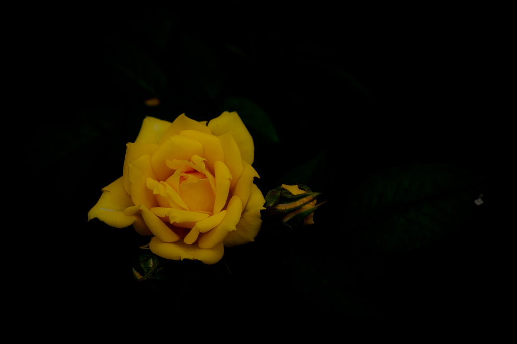 20110618#03