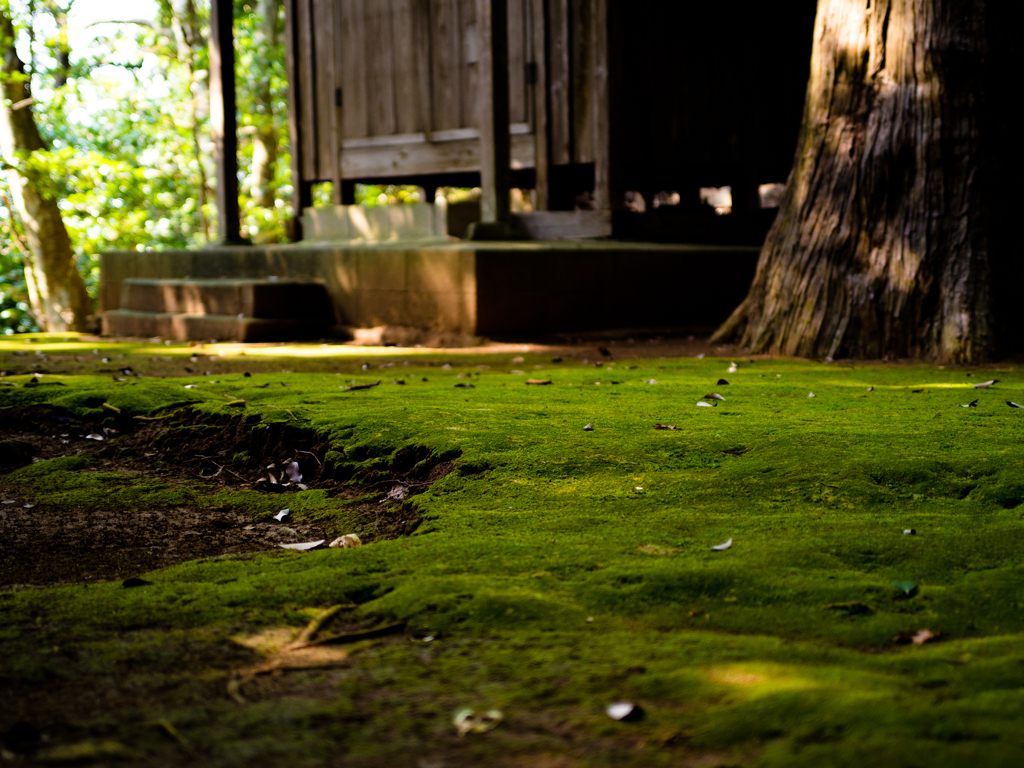 2011-10-10 鳥取 GXR Mount A12 002