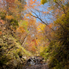 2011-10-29 氷ノ山 Nikon D700 016