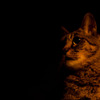 2011-07-22 21-32-06