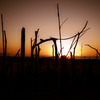 2011-09-06 18-16-36