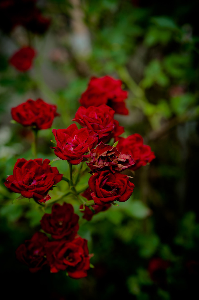 20110618#04