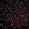 桜吹雪