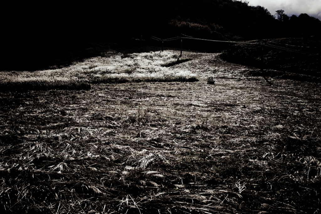 2011-10-29 氷ノ山 Nikon D700 001