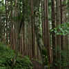 2011-07-24 17-42-42