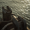 2011-08-26 18-01-13