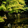 2011-10-10 鳥取 GXR Mount A12 010