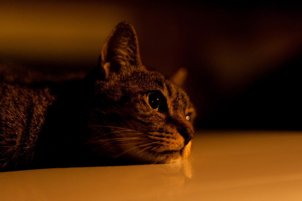 2011-07-22 21-35-38