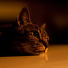 2011-07-22 21-35-38