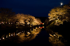鹿野城跡夜桜