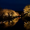 鹿野城跡夜桜