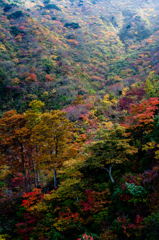 2011-10-16 剣ヶ峰 GXR Mount A12 023