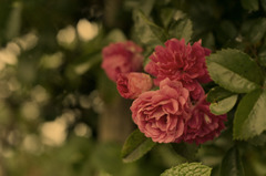 20110618#05