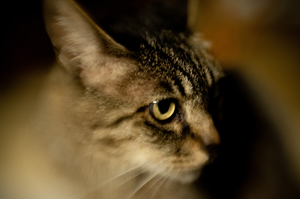 20110718#01