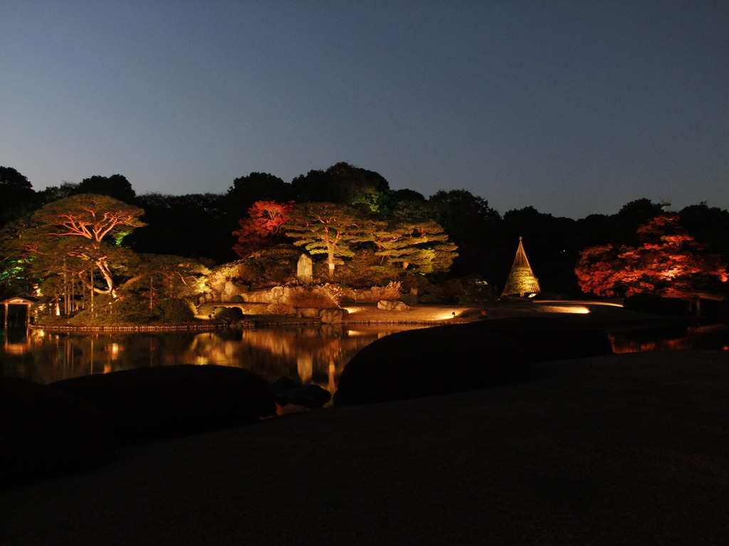 六義園～ライトアップ紅葉夜景