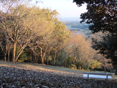 茨城～三ツ石森林公園より～３～