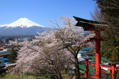 神社からの眺望