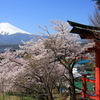 神社からの眺望