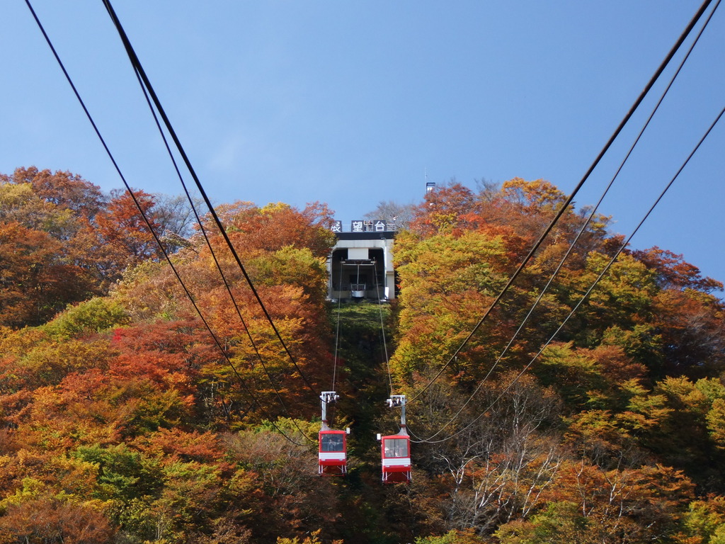 日光の紅葉