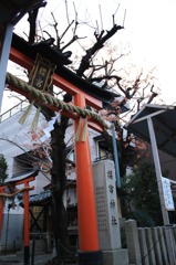 街の中の神社（櫻宮神社）