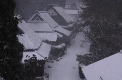 吹雪く鳥居本