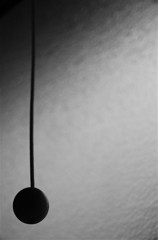 写真家目指すのやめますか？それとも人間やめますか？