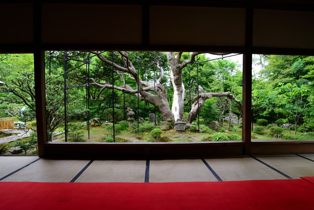 宝泉院