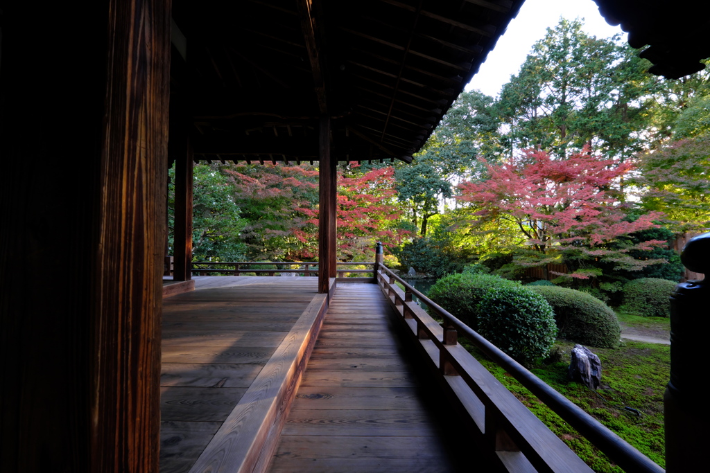 随心院