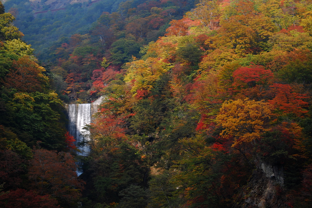 紅葉の合い間から