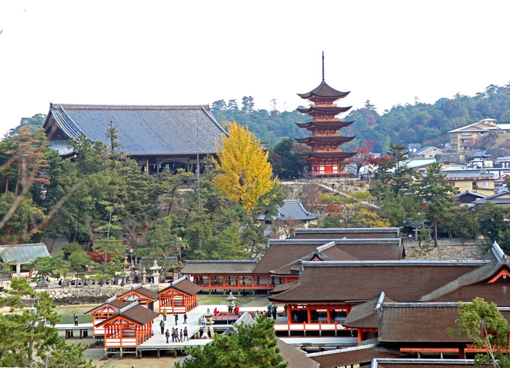 宮島紅葉 7