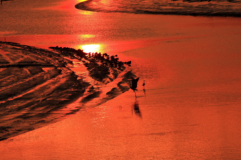 夕焼けの有明海