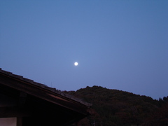 朝と月
