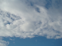 雲