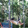 swing